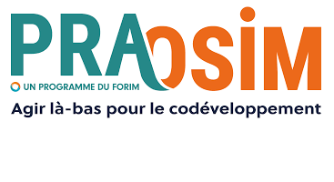 LES ACTIVITES DU COSIM